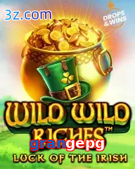 grangepg slot wild wild riches